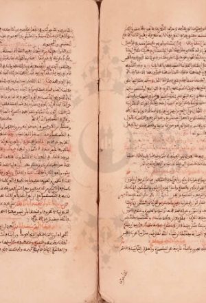 مخطوطة - شرح ابن أم قاسم المرادي على ألفية ابن مالك - 311360