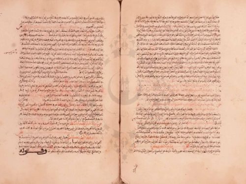 مخطوطة - شرح ابن أم قاسم المرادي على ألفية ابن مالك - 311360