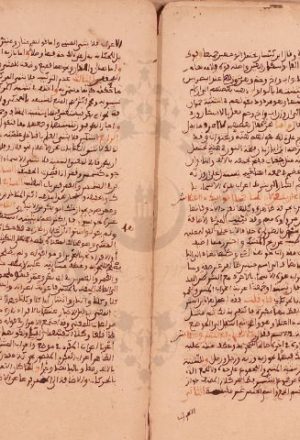 مخطوطة - شرح ابن أم قاسم المرادي على ألفية ابن مالك - 311363