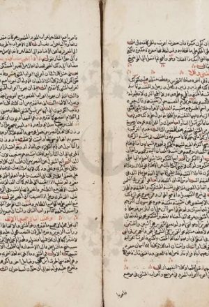 مخطوطة - شرح ابن أم قاسم المرادي على ألفية ابن مالك - 321730