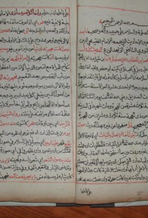 مخطوطة - شرح أربعين النووي لمحمد حياة السندي
