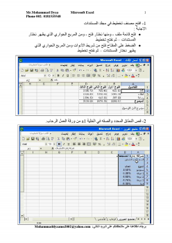 امتحانات اكسيل لغة عربية 2010