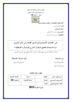 دور الخدمات الاستشارية في تحسين كفاءة رأس المال البشري