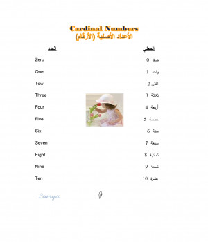 Cardinal Numbers & Ordinal Numbers