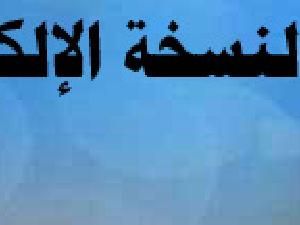 المنهاج لبيان الشركيات والضلالات في مدخل ابن الحاج