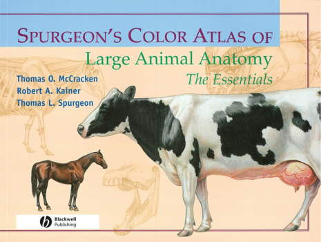 Spurgeon&#039 s Color Atlas of Large Animal Anatomy The Essentials
