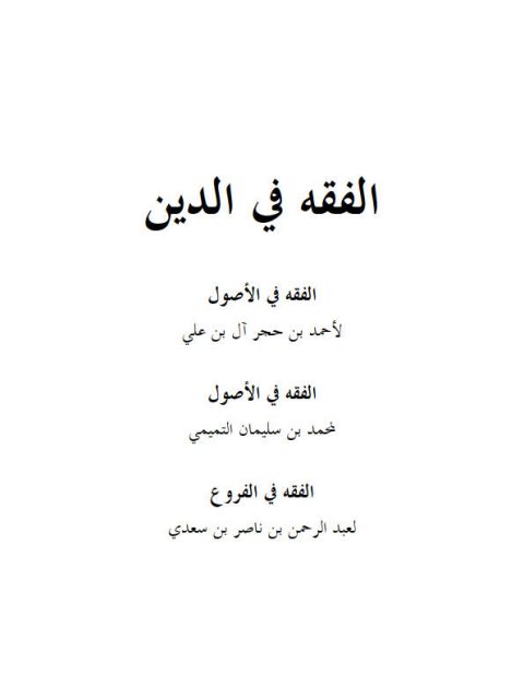 تطهير الجنان والأركان عن أدران الشرك والكفران، الفقه في الدين